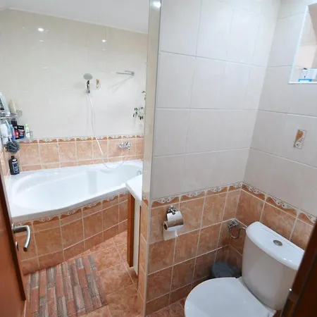 Holiday Isergebirge 39390 بيت للعطل *